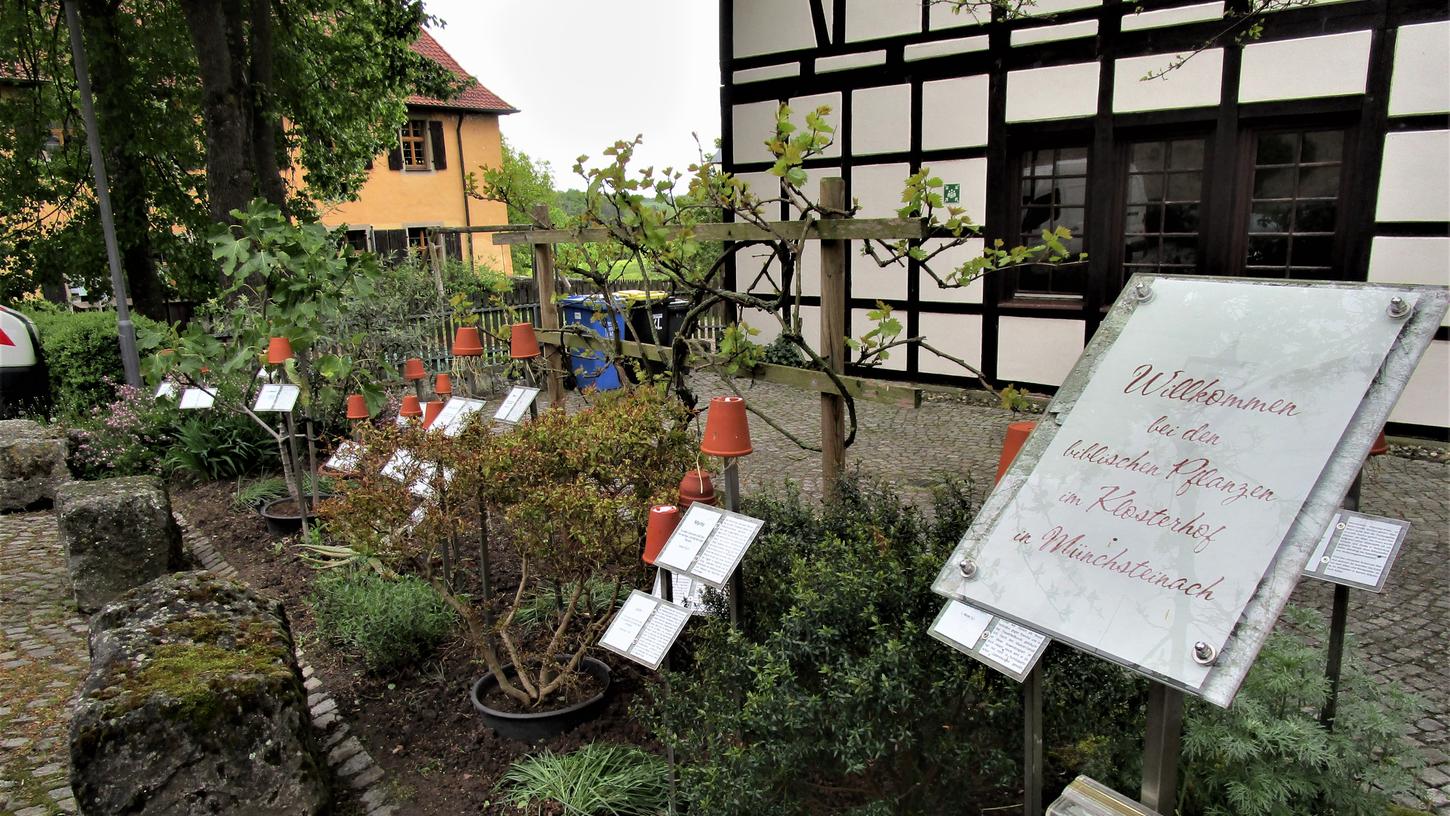 Ausflug in Ausflug in