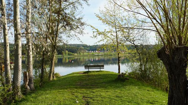 Von dieser idyllisch zwischen Weiden und Pappeln gelegenen Bankd kann man seinen Blick über den Kleinen Brombachsee schweifen lassen.