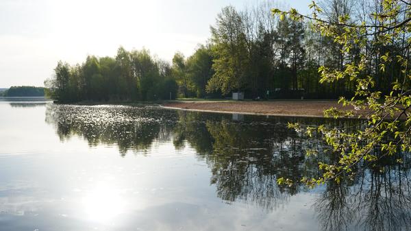 Der lange, goldgelbe Sandstrand, die Liegewiese und die Schatten spendenden Bäume laden am Ufer des Kleinen Brombachsees zum Verweilen und Entspannen ein.