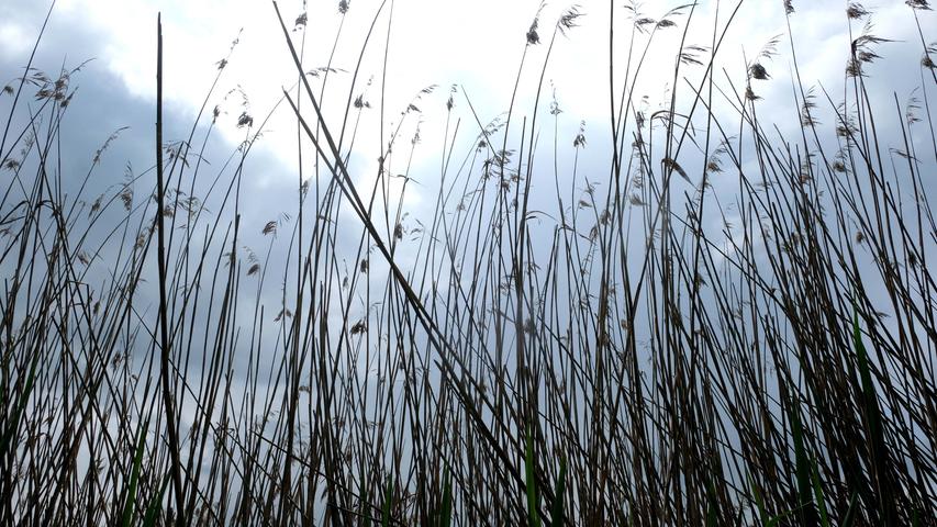 Trotz Regenwetter: Mit Anlauf in den Baggersee