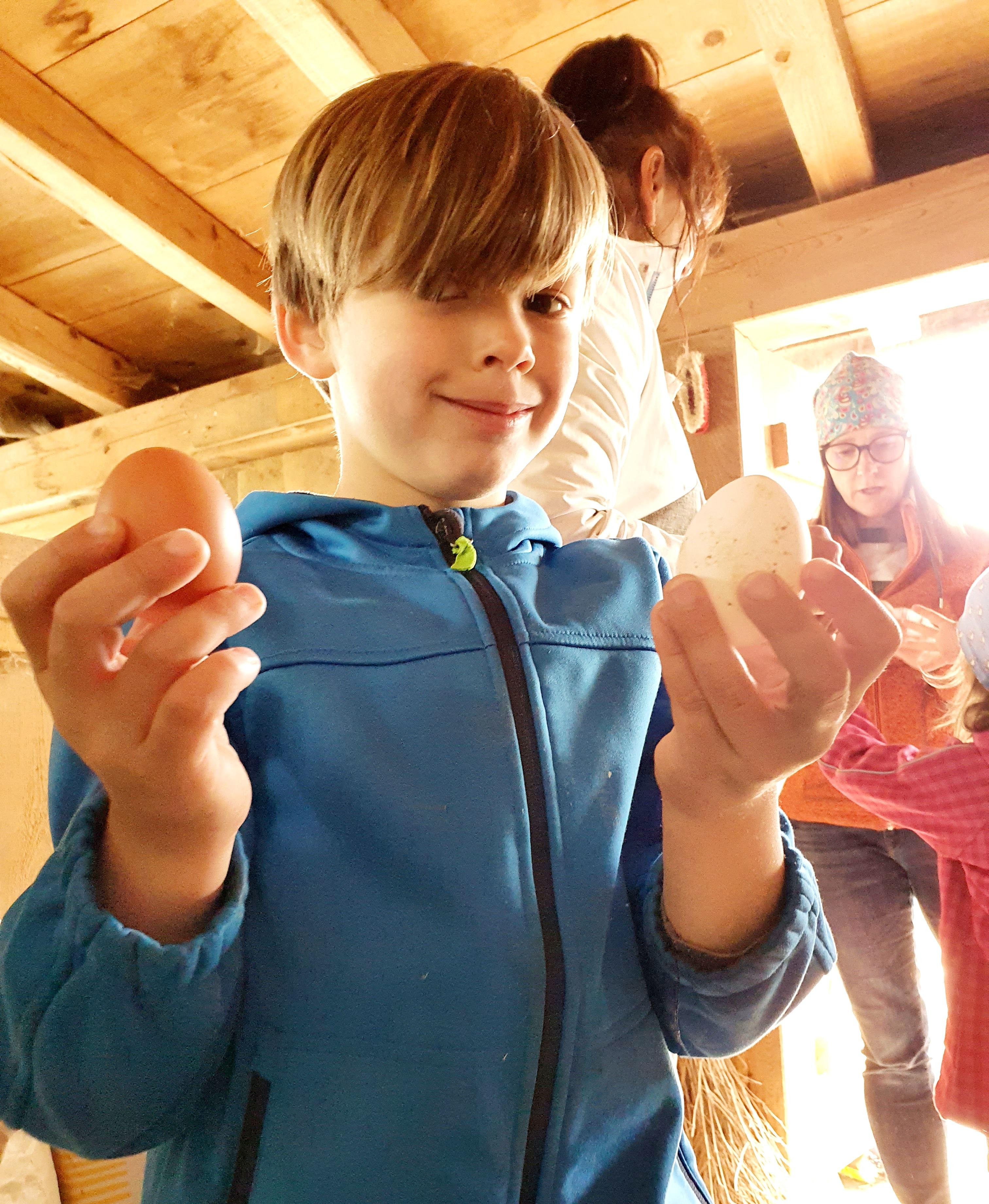 Reiche Beute macht der Junge im Stall bei den Hühnern. Die Eier gibt's am nächsten Morgen zum Frühstück.