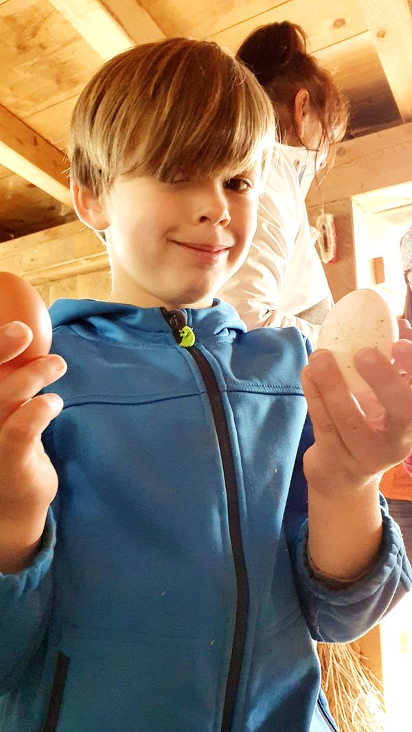 Reiche Beute macht der Junge im Stall bei den Hühnern. Die Eier gibt's am nächsten Morgen zum Frühstück.