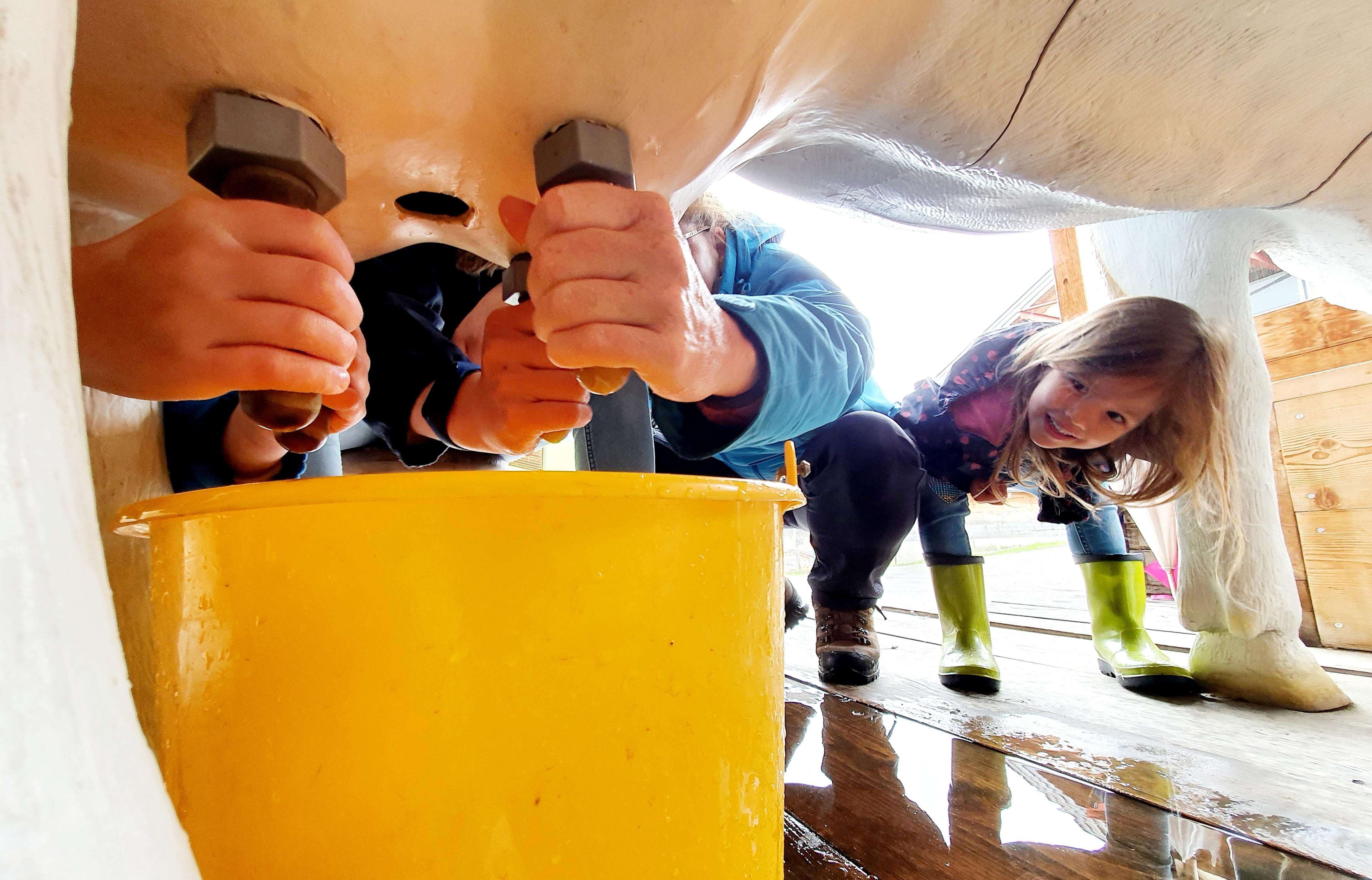 Der Reiherhof im Gsieser Tal bei St. Magdalena ist ein Schaubaernhof mit Streichelzoo und Schankstube. Hier kann man locker mit Kindern einen ganzen Tag verbringen.