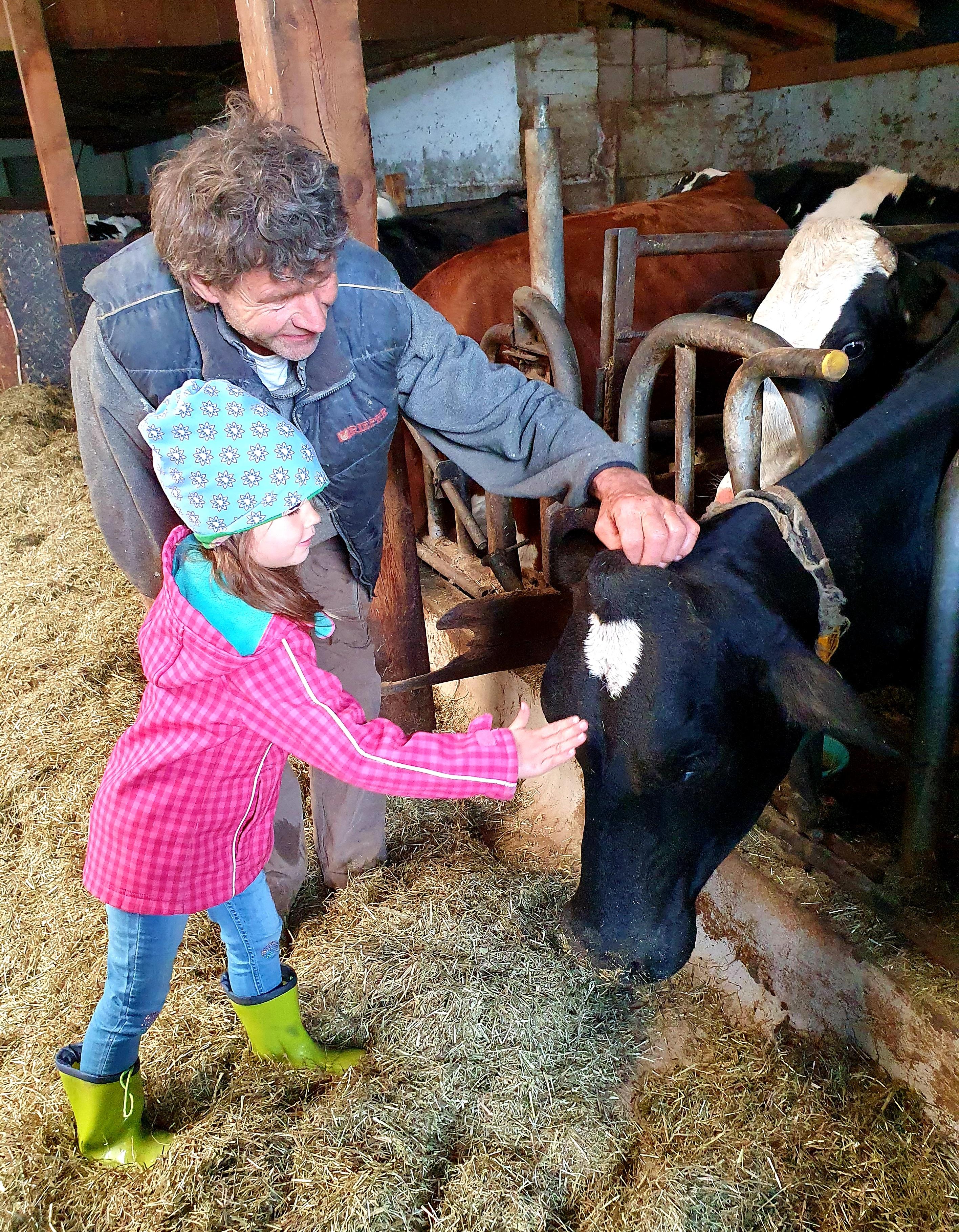 Bauer Peter Sapelza zeigt den kleinen Gästen seine Kühe im Stall auf dem Tiefentalhof - sie werden liebevoll umhegt, genießen viele Freiheiten und geben daher besonders gute Milch.