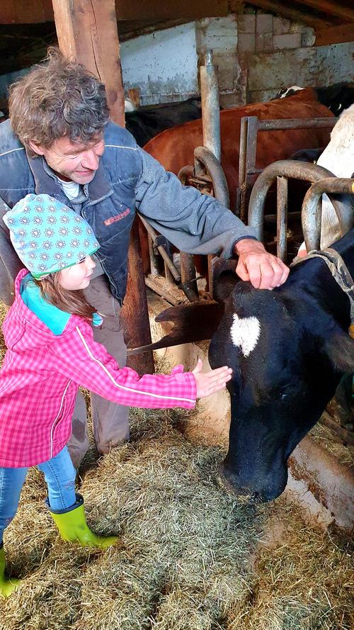 Bauer Peter Sapelza zeigt den kleinen Gästen seine Kühe im Stall auf dem Tiefentalhof - sie werden liebevoll umhegt, genießen viele Freiheiten und geben daher besonders gute Milch.
