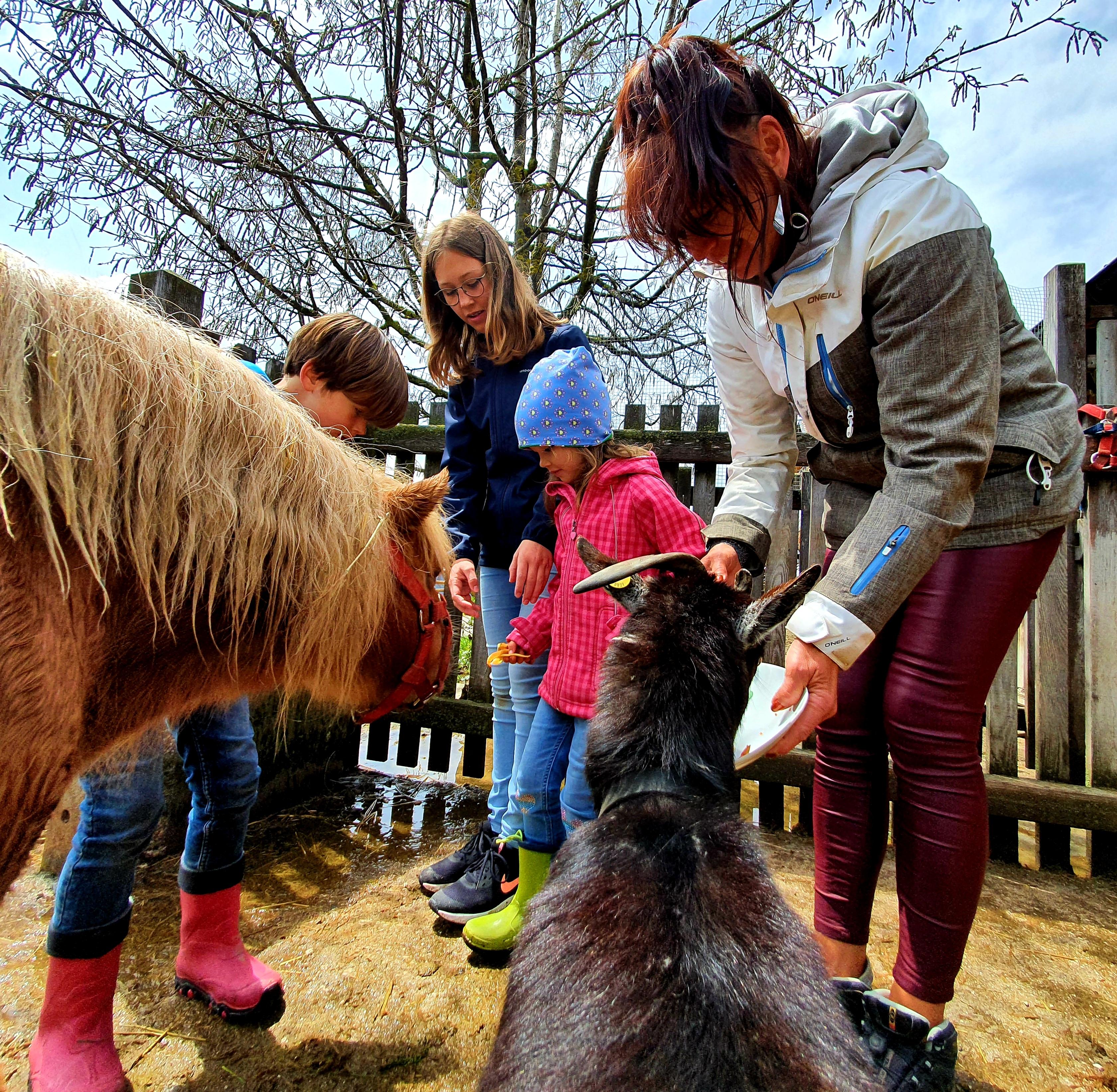 Bäuerin Hildegard nimmt die Gästekinder mit zum Tierefüttern.