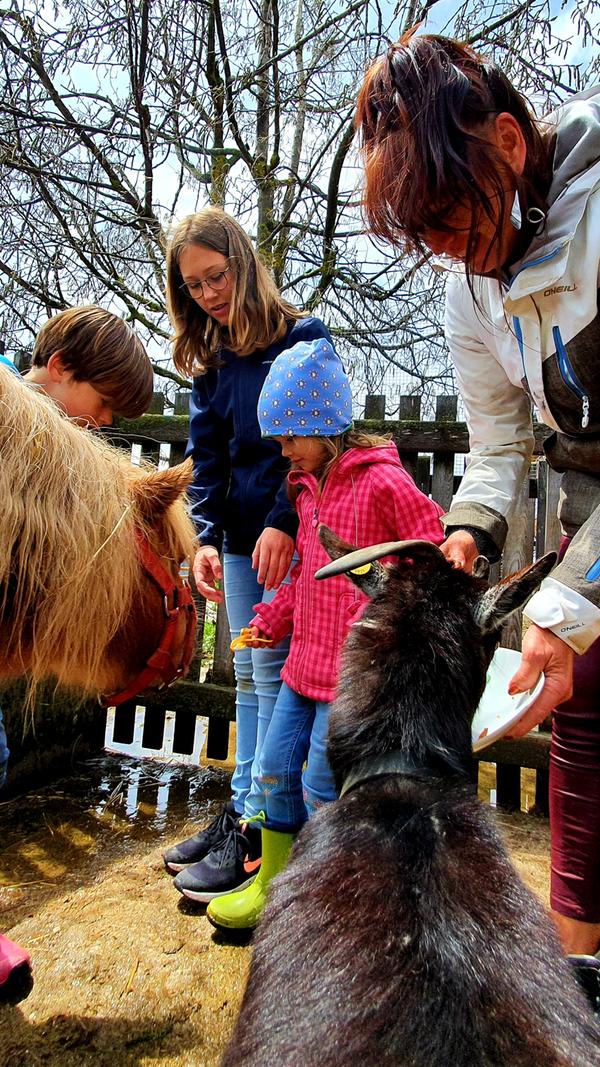 Bäuerin Hildegard nimmt die Gästekinder mit zum Tierefüttern.