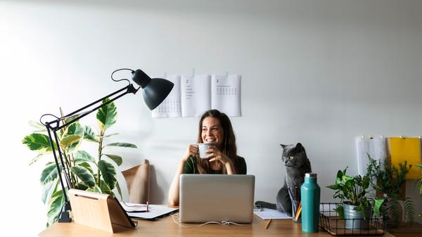 Lichte Momente: Für gute Beleuchtung im Homeoffice sorgen