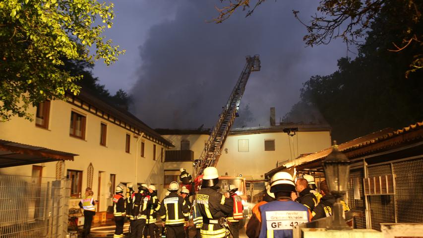 Tierheim in Flammen Über 60 Tiere sterben bei Brand in Unterfranken