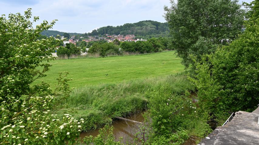 Zwei Stege - einer zum Berle und einer zu neuen Gebäuden mit WCs und Duschen - sollen über die beiden Arme der Sulz führen, welche die Wiese umschließen. 