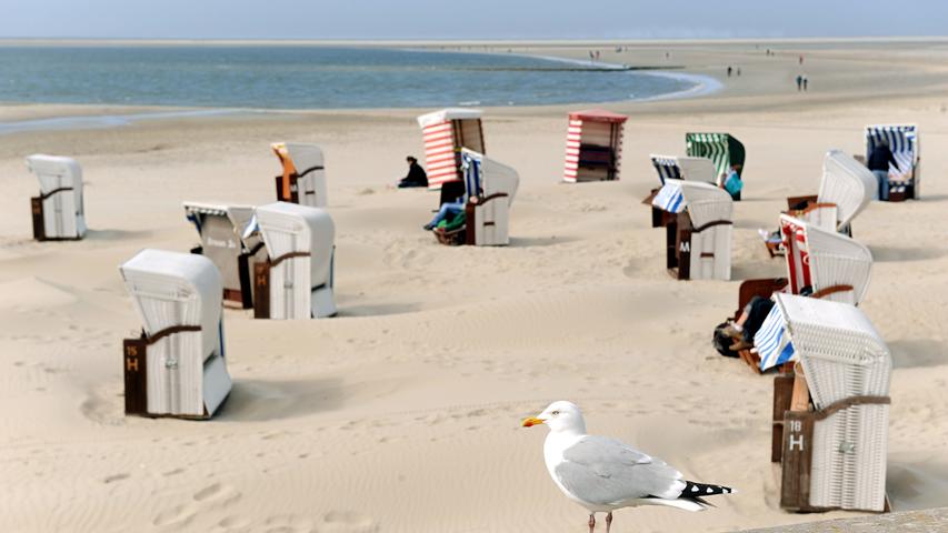 Die Strandkörbe auf Borkum warten auf mehr Urlauber. Die könnten jetzt endlich wieder kommen.
Die Strandkörbe auf Borkum warten auf mehr Urlauber. Die könnten jetzt endlich wieder kommen.