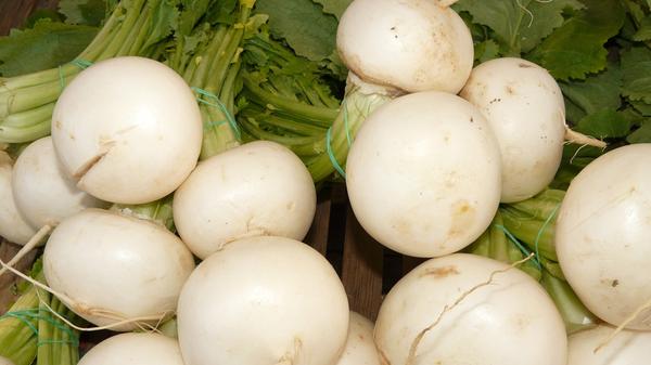 Mairüben enthalten besonders viel nervenstärkende B-Vitamine und zellerneuernde Folsäure. Sie sind reich an Eisen, das wichtig für die Blutbildung ist. Auch abwehrstärkendes Zink und Kalzium steckt in den weißen Kugeln. Auch Steckrüben haben im August Saison.