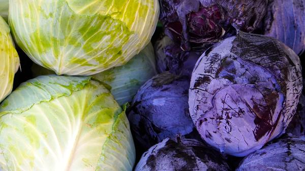 Kohl enthält eine Vielzahl an Vitaminen, die der Körper braucht. In 100 Gramm Weißkohl steckt die gleiche Menge Vitamin C wie in einem Glas Orangensaft. Die Vitamine A, B, E und K finden sich ebenso im Kohl wieder wie die Mineralstoffe Calcium, Eisen und Magnesium.
