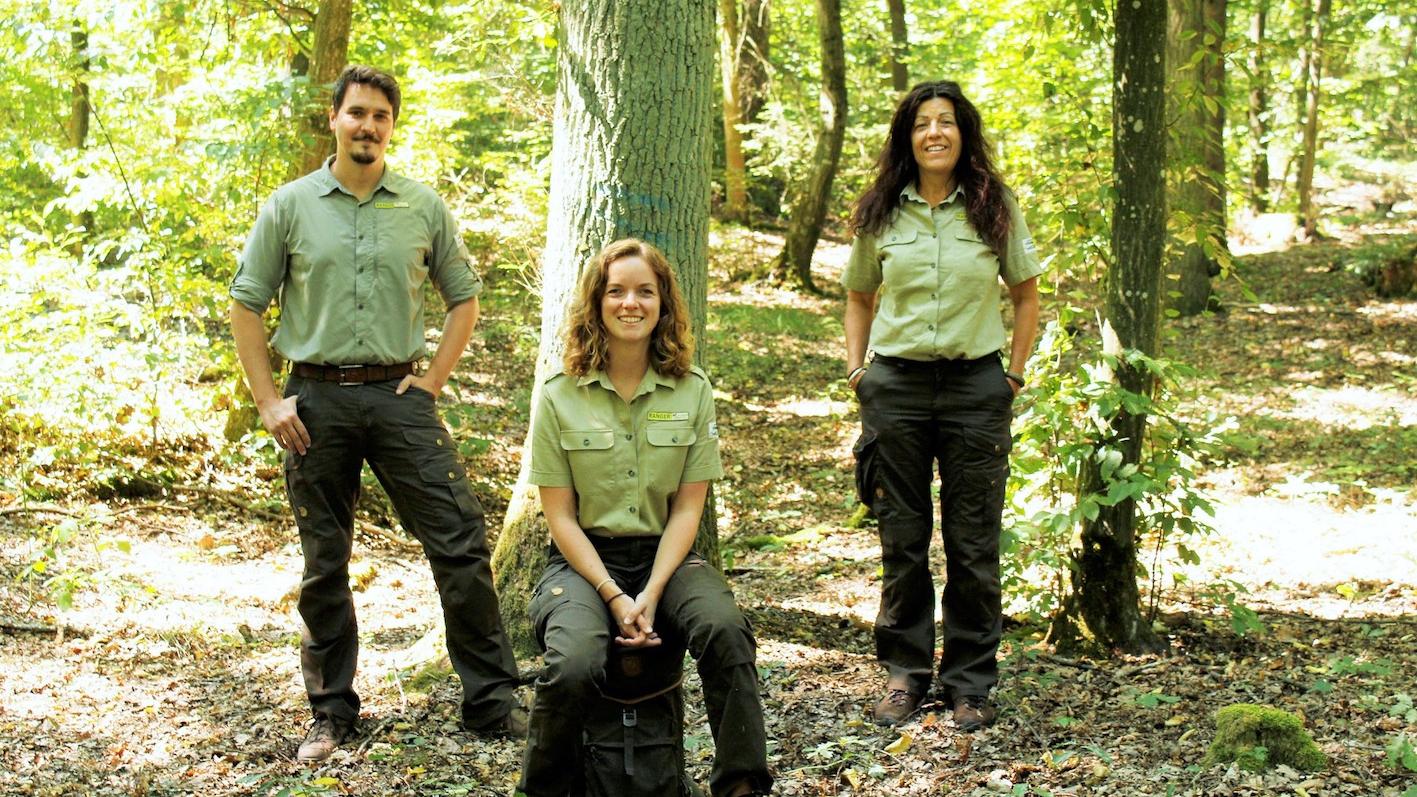 Das Team der Naturpark-Ranger freut sich, wieder zu Führungen im Steigerwald einladen zu können. Foto: Naturpark Das Team der Naturpark-Ranger freut sich, wieder zu Führungen im Steigerwald einladen zu können. Foto: Naturpark