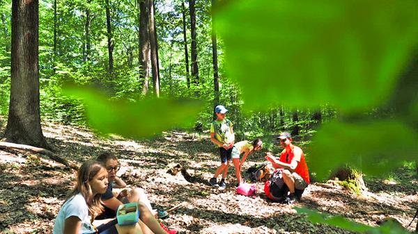 Pause im Buchenwald zwischen Bettenburg und Schwedenschanze.