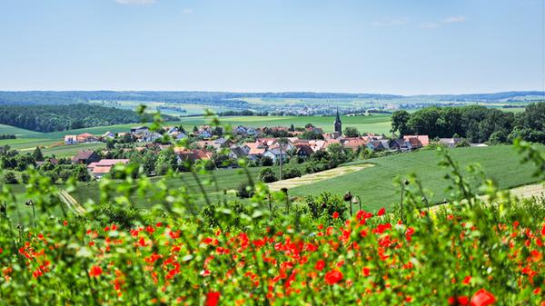 Blick über Blumenwiesen weit in die Landschaft hinein.