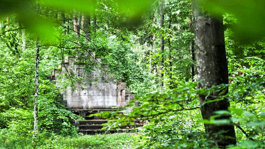 Plötzlich tauchen mitten im Buchenwald die romantischen Ruinen des Landschaftsgartens Bettenburg auf.