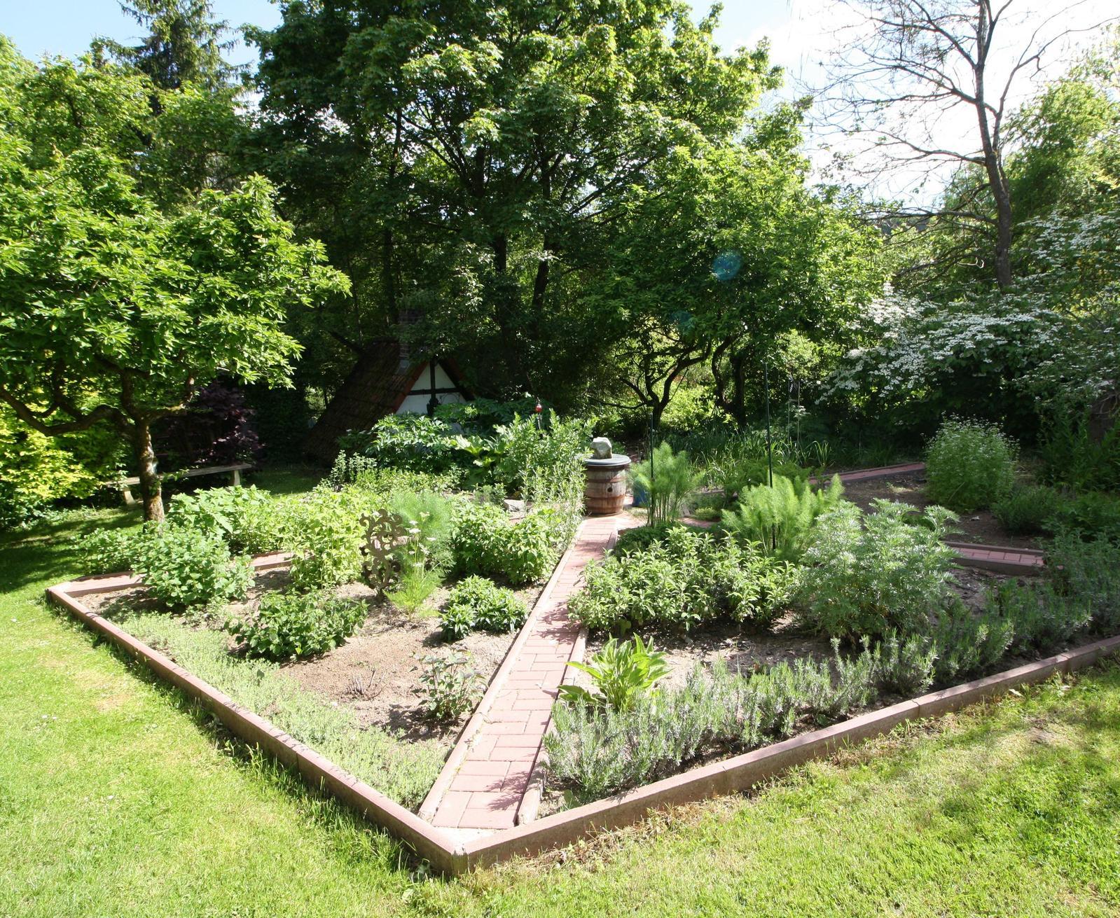 Barbara Krasemann Durch die Gartentür ins Fernsehen