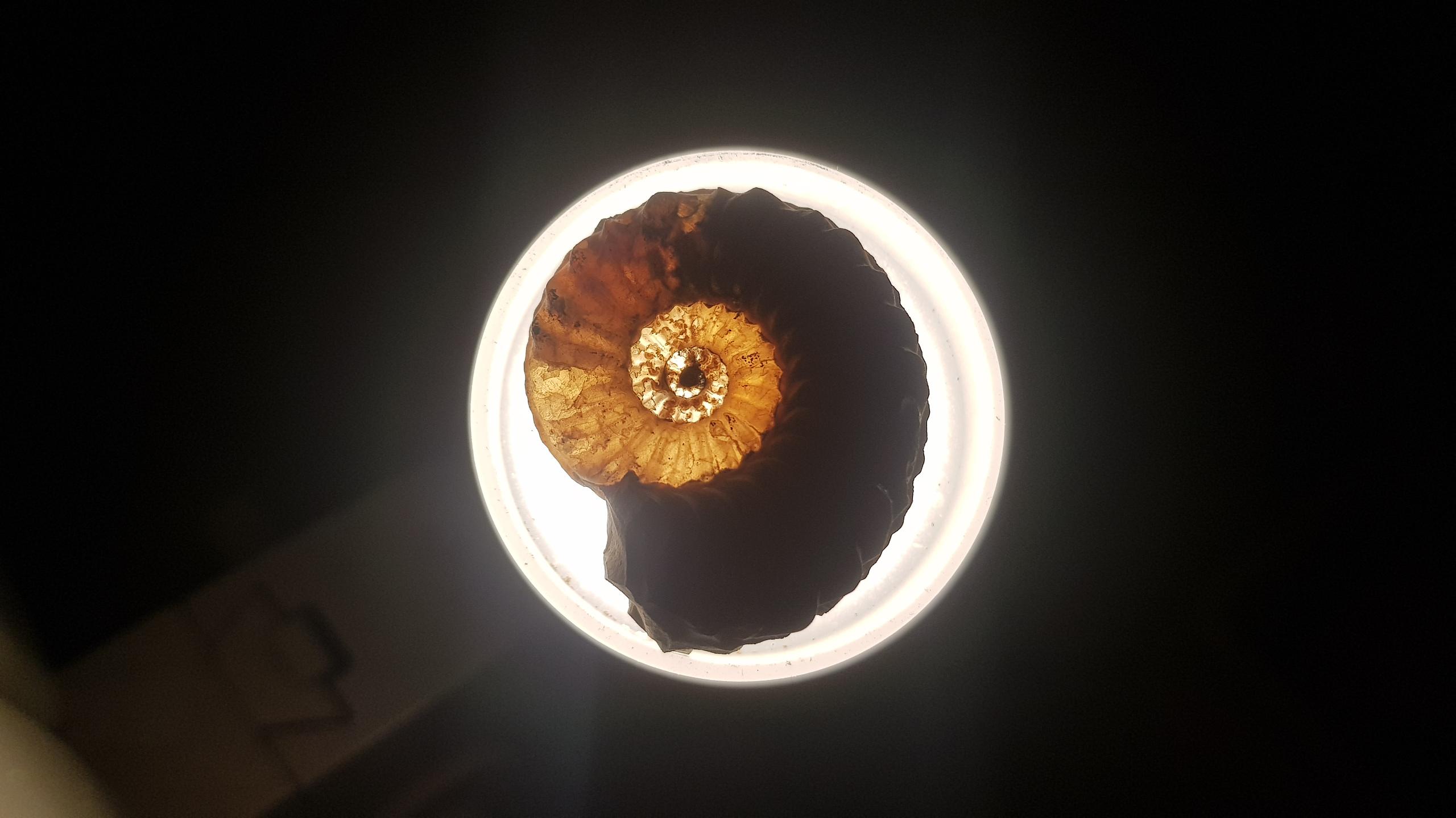 Beinahe ein Kunstwerk, der beleuchtete Fund.