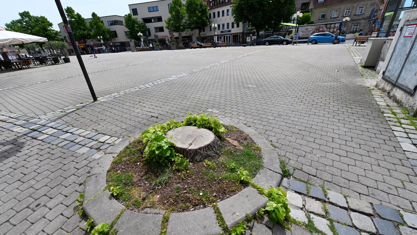 Schluss mit Steinwüsten: Stadt Forchheim will Plätze neu gestalten