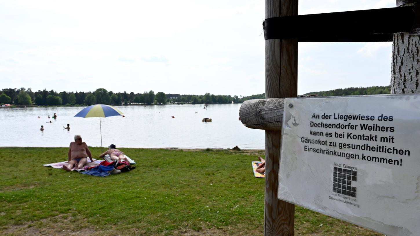 Die Badewasserqualität des Dechsendorfer Weihers ist gut. Schlecht ist allerdings, dass die Liegewiesen teilweise mit Gänsekot verunreinigt sind.
Die Badewasserqualität des Dechsendorfer Weihers ist gut. Schlecht ist allerdings, dass die Liegewiesen teilweise mit Gänsekot verunreinigt sind.