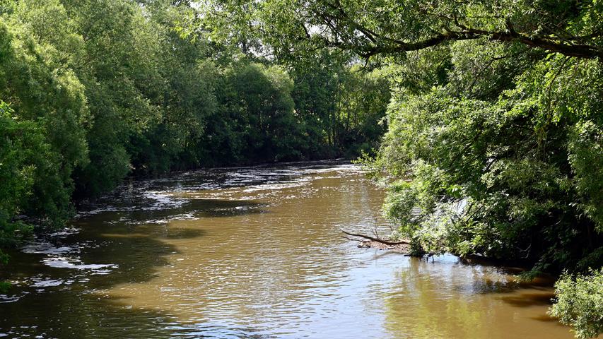 Die Regenfälle der letzten Wochen ließen den Pegel der Regnitz steigen, das Wasser ist schlammig braun. 