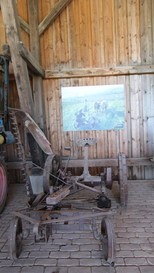 Mit historischen Fotos wird gezeigt, wie die Arbeit auf dem Feld früher ausgesehen hat.