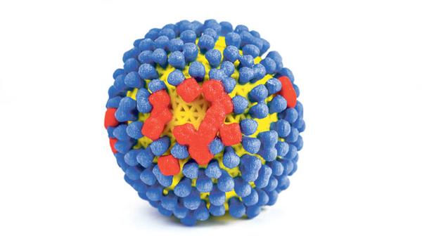 Grippewelle fiel komplett aus_influenza-virus-fotonachweis-NIH-NIAID-730x483.jpg