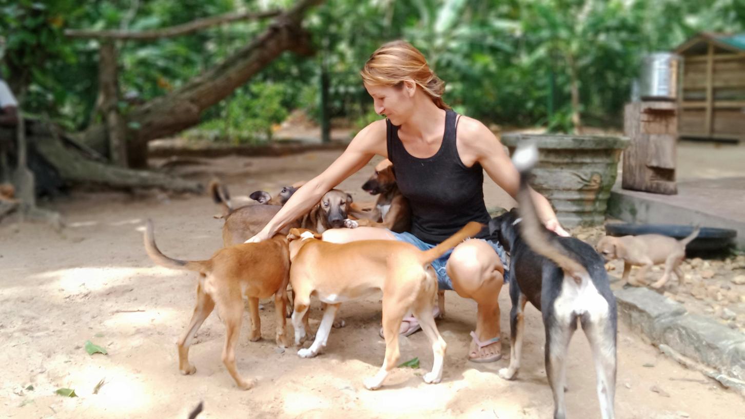 Christina Schlederer aus Hauptendorf kümmert sich in Sri Lanka um Straßenhunde.