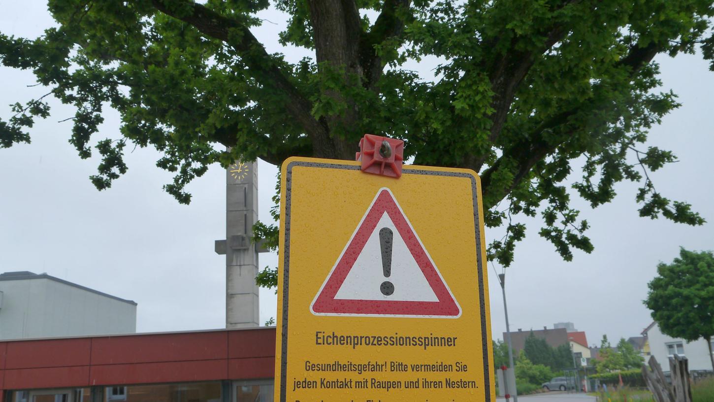 Spinner-Alarm: Der Bereich um die Eiche neben Kindergarten und Sengenthaler Grundschule wurde vorsorglich abgesperrt.
