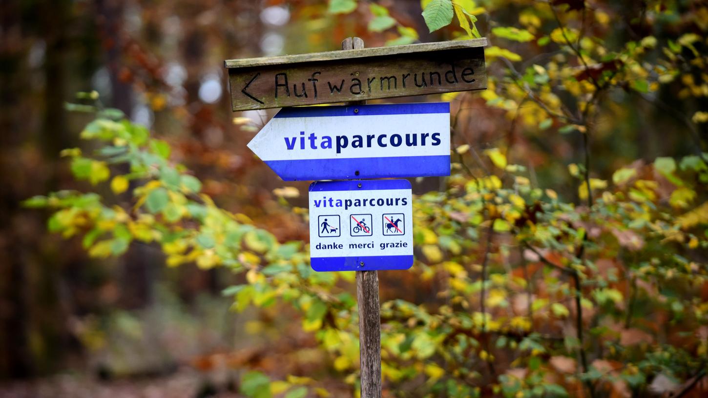 Nur Spaziergänger oder Jogger, das war einmal. Heute nutzen auch viele Mountainbiker den Stadtwald – oft aber abseits des Wegenetzes, was nicht erlaubt ist. Nur Spaziergänger oder Jogger, das war einmal. Heute nutzen auch viele Mountainbiker den Stadtwald – oft aber abseits des Wegenetzes, was nicht erlaubt ist.