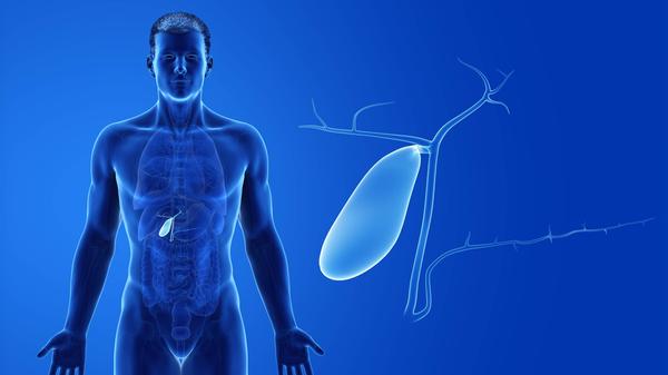 imago images 120568862