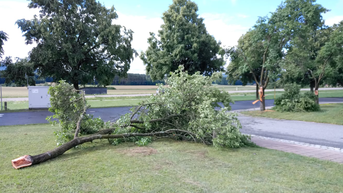 Der Sturm fegte auch über Buchberg und schubste mitunter diesen Baum um.