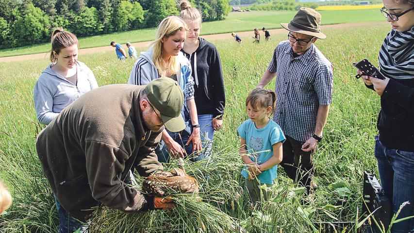 Familie Gänsebauer kümmert sich um die Rehkitze.
Familie Gänsebauer kümmert sich um die Rehkitze.