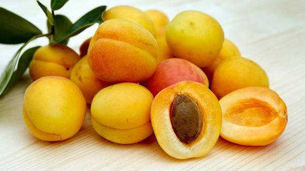 Mit Kalium, Eisen und Provitamin A (Carotin) liefert die Aprikose reichlich Nährstoffe. Carotin kann der Körper in Vitamin A umwandeln – wichtig unter anderem für Haut und Augen. Aprikosen enthalten außerdem Vitamin B1, B2, Vitamin C, Kalzium und Phosphor.