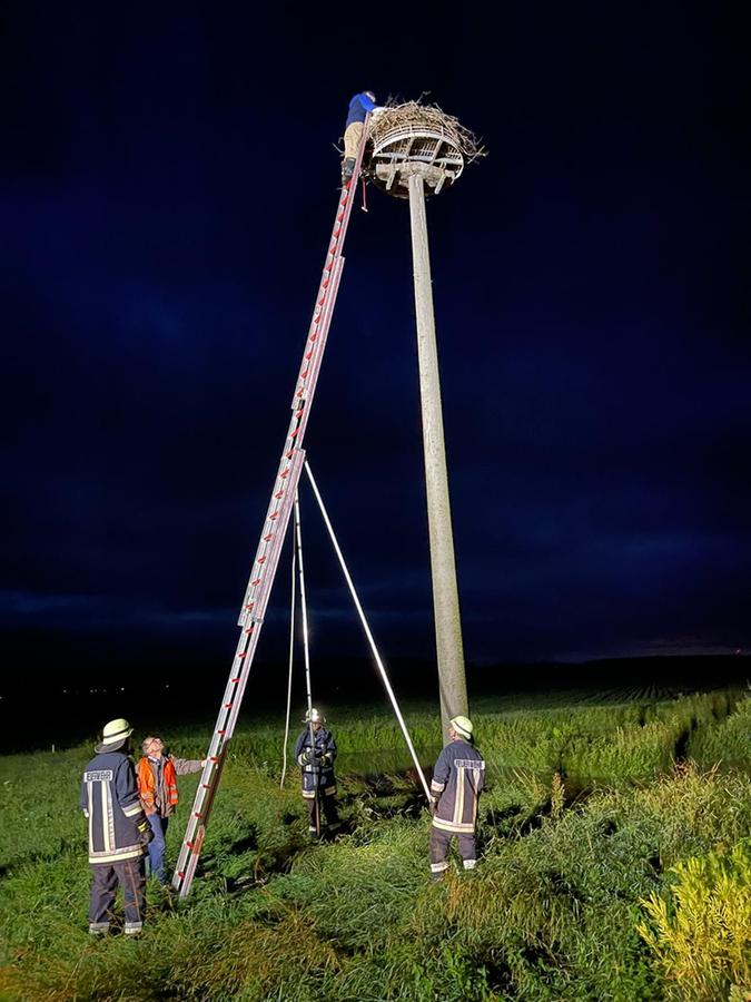 Nächtlicher Einsatz für die Feuerwehr, um dem kleinen Storch zu helfen.
Nächtlicher Einsatz für die Feuerwehr, um dem kleinen Storch zu helfen.
