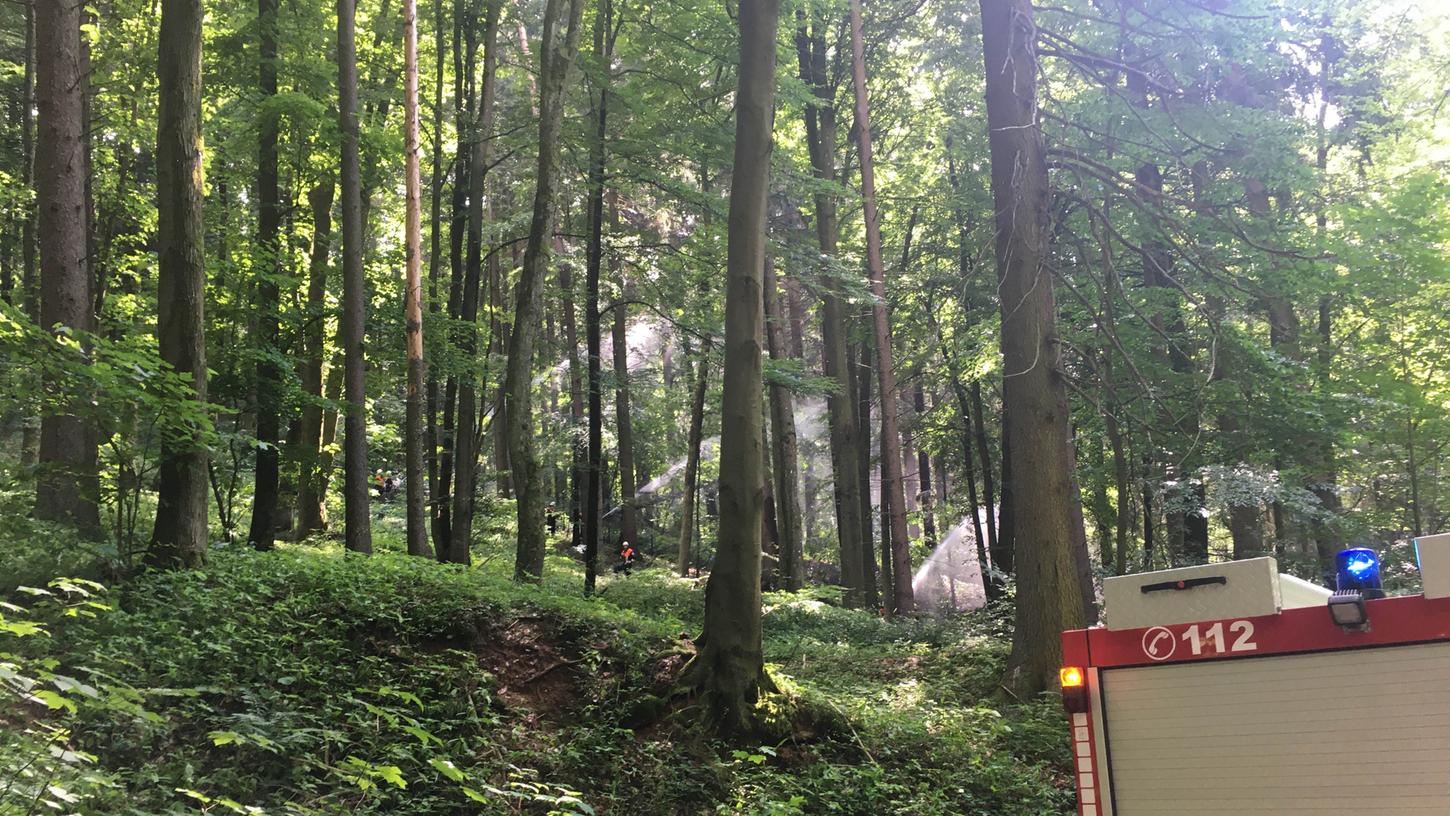 Mit 103 Ehrenamtlichen aus zehn Feuerwehren und dem THW fand eine Übung an der Weißmarter statt.
Mit 103 Ehrenamtlichen aus zehn Feuerwehren und dem THW fand eine Übung an der Weißmarter statt.