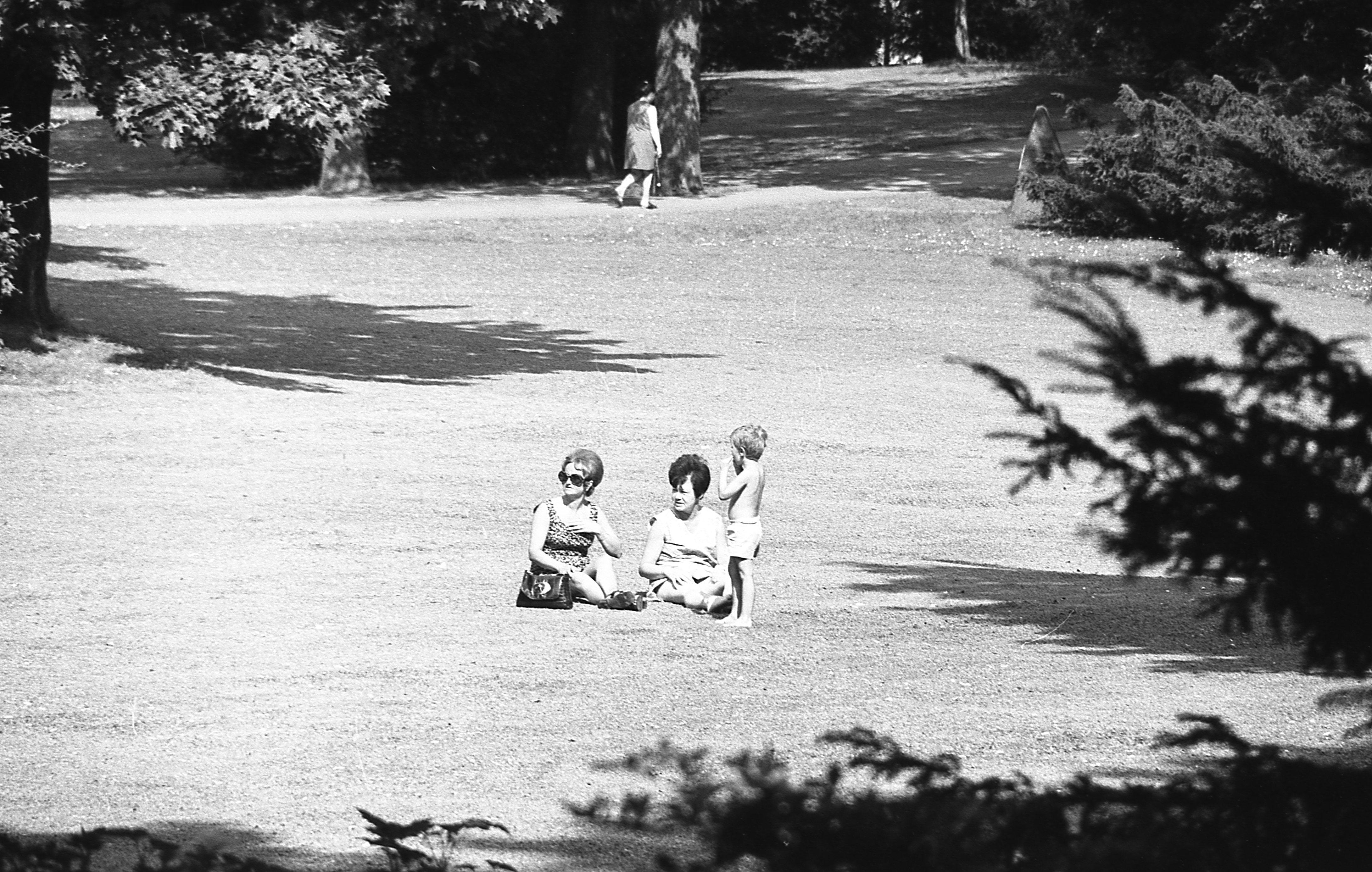 10. Juli 1971: Rotes Licht für grünen Rasen 10. Juli 1971: Rotes Licht für grünen Rasen