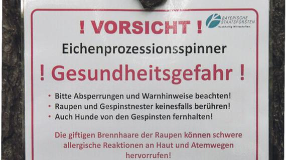 Mit solchen Warnhinweisen weisen Forstleute auf die Gesundheitsgefahr durch den Eichenprozessionsspinner hin.
Mit solchen Warnhinweisen weisen Forstleute auf die Gesundheitsgefahr durch den Eichenprozessionsspinner hin.