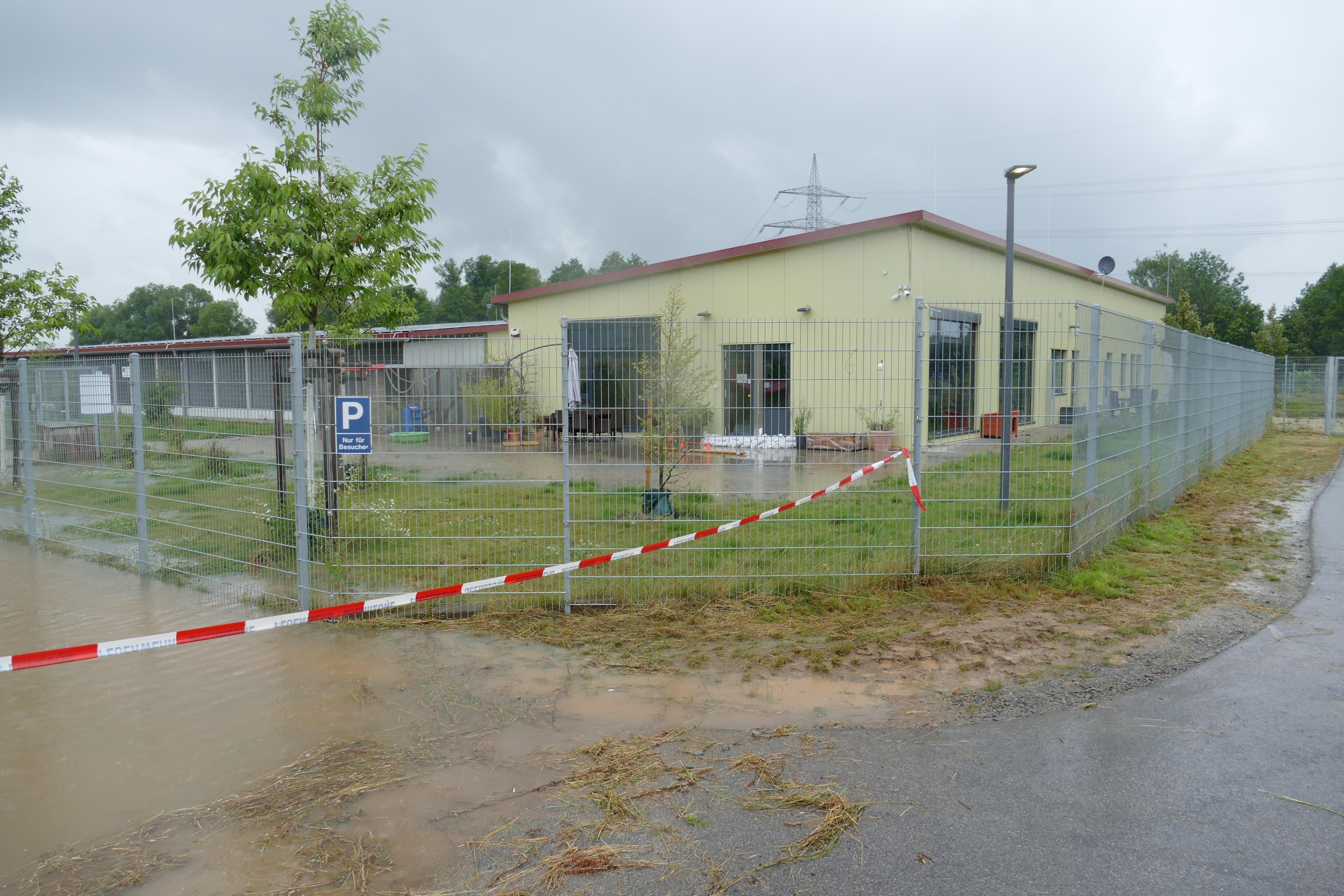 Das Tierheim Haßberge bei Knetzgau kämpft gegen Überflutung