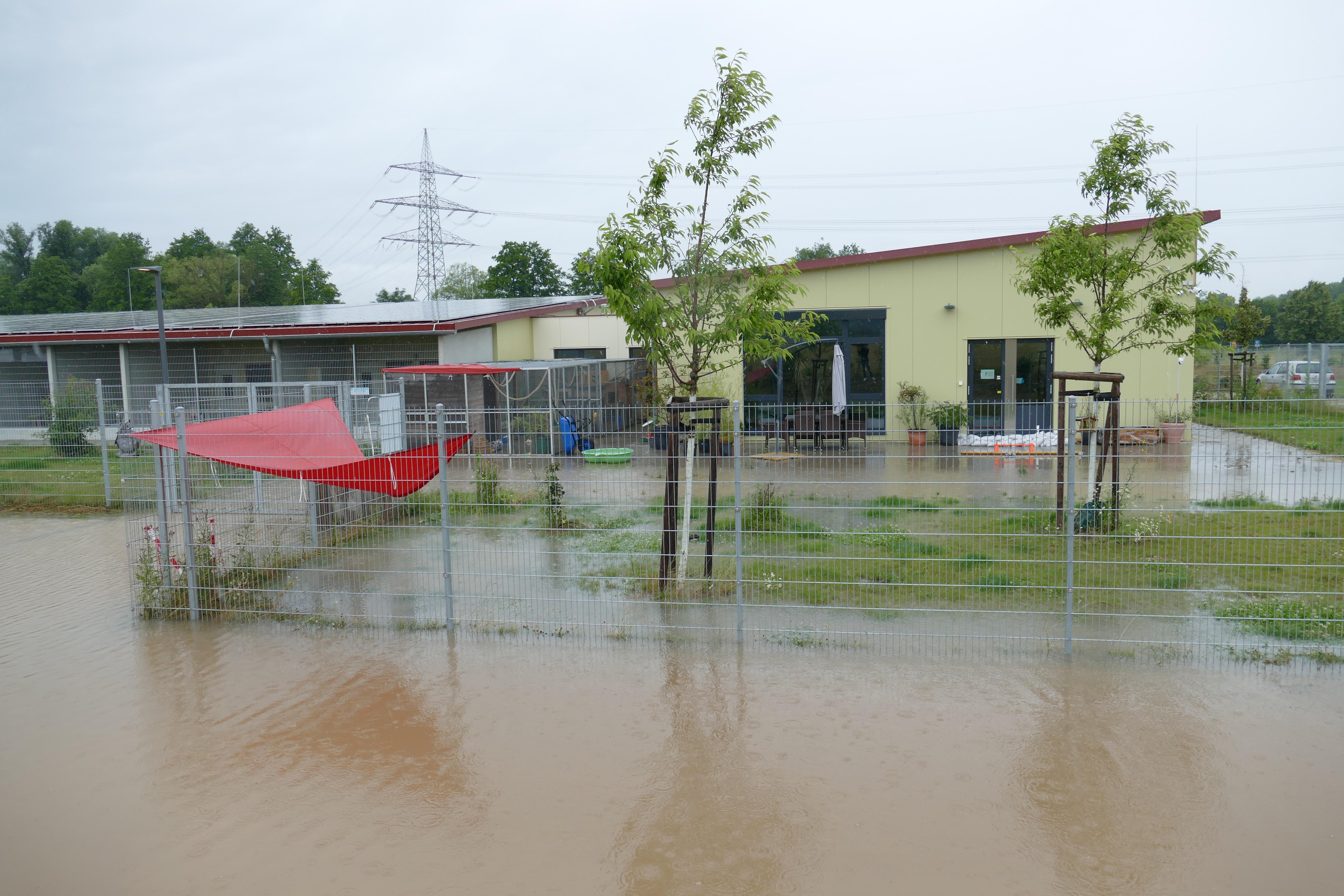 Das Tierheim Haßberge bei Knetzgau kämpft gegen Überflutung