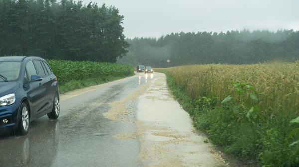 Ordentlich Wasser stand schließlich auch auf dem aktuellen "Schleichweg" zwischen den Rother Ortsteilen Evangelisch Hofstetten und Eckersmühlen. Wegen der stark beanspruchten Bankette wird diese Straße ab Mittwoch, 14. Juli für den Verkehr gesperrt.