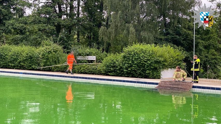 Durch die Rampe gelang es dem Biber, das Freibad zu verlassen.
Durch die Rampe gelang es dem Biber, das Freibad zu verlassen.