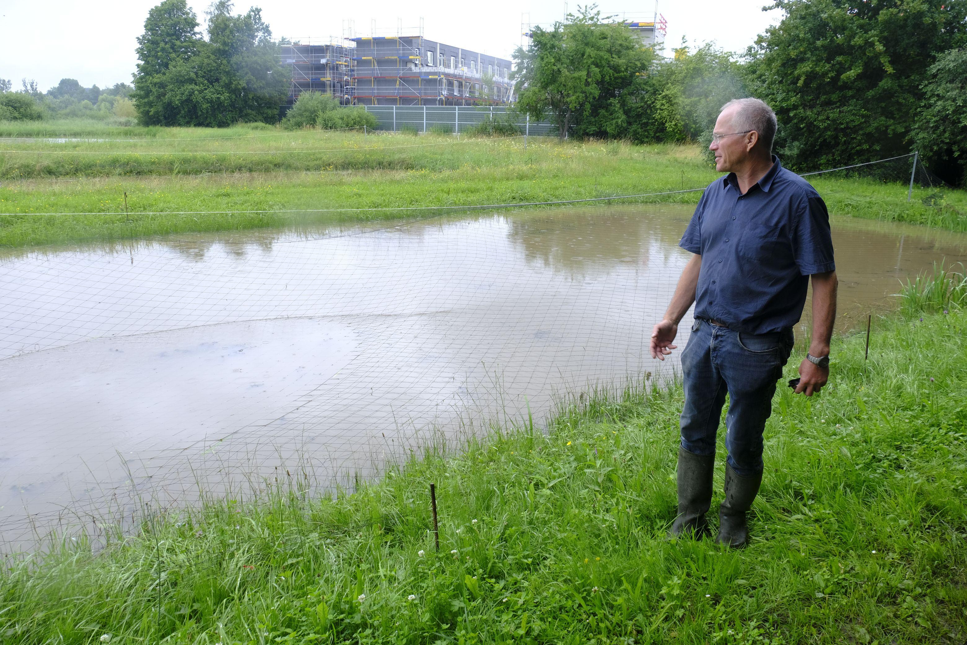Die Zuchtteiche am Sonntag und ...