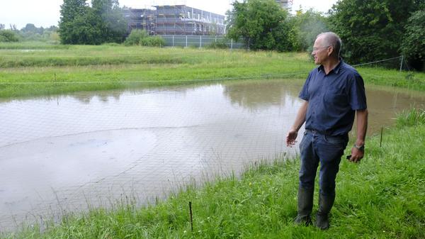 Die Zuchtteiche am Sonntag und ...