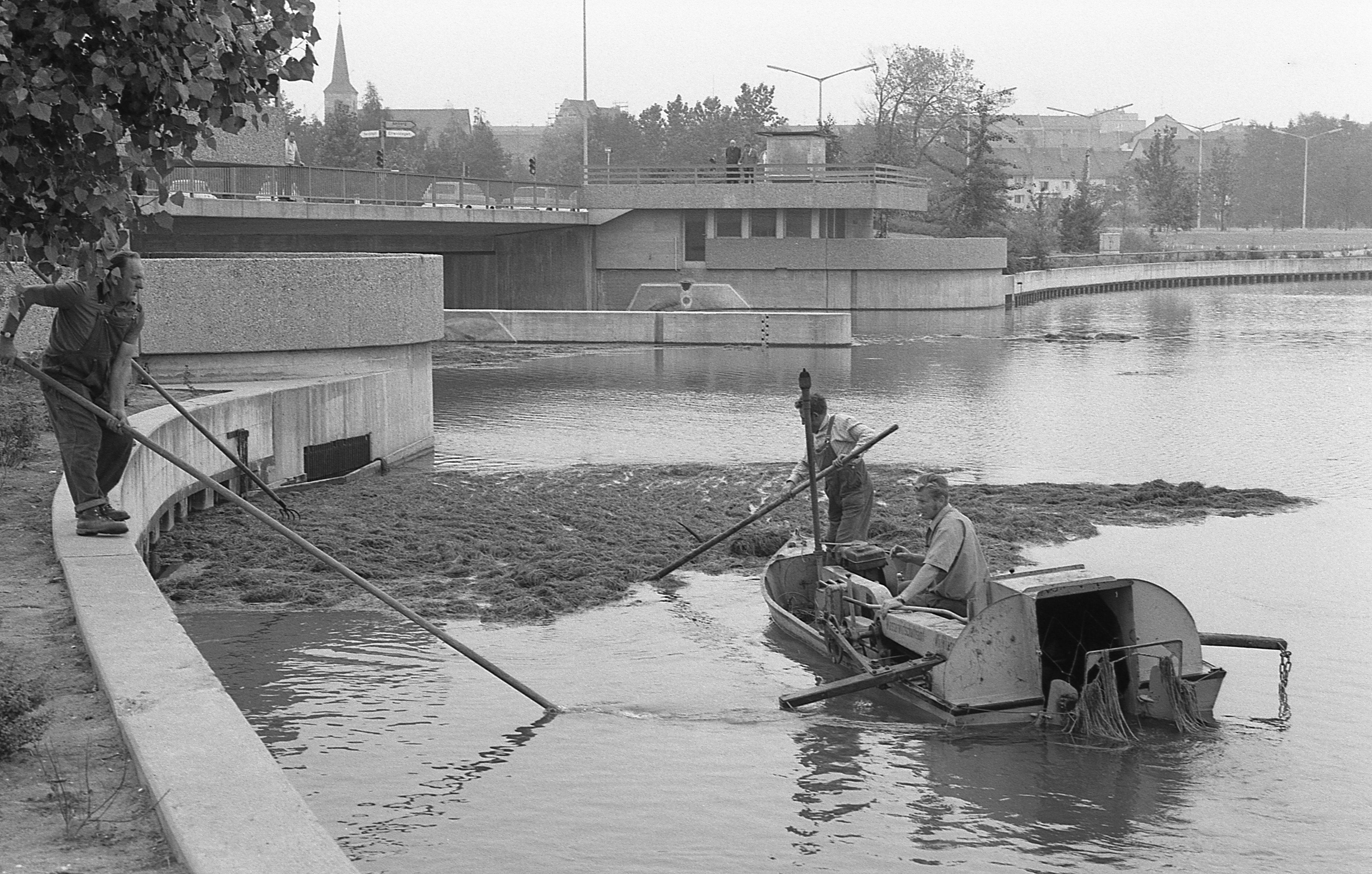 14. Juli 1971: Pflanzen werden beseitigt 14. Juli 1971: Pflanzen werden beseitigt