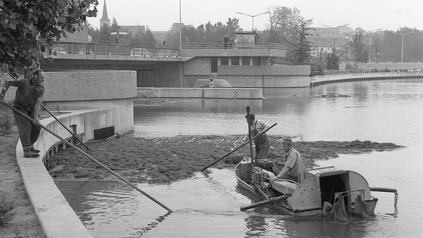 Ein außergewöhnliches Schifflein schwimmt auf dem Wöhrder See und weckt das Interesse der Passanten: das Wasserwirtschaftsamt Nürnberg setzt seinen „Unterwasserkrautschneider“ ein. Hier geht es zum Kalenderblatt vom 14. Juli 1971: Pflanzen werden beseitigt.