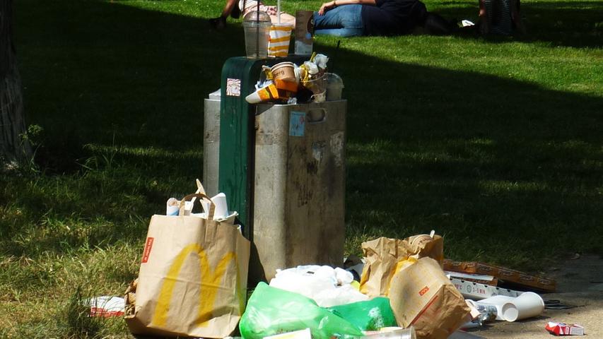 An image that is often observed in the garden of the Erlangen palace: instead of being thrown into the bin, pizza boxes and plastic take-away cups end up next to it because the waste bins overflow.