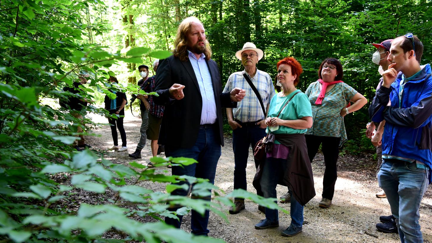 Welche Bäume sollen künftig im Wald dem Klimawandel trotzen? Anton Hofreiter erklärte das bei einem Spaziergang durch die Cadolzburger Buchspitz.