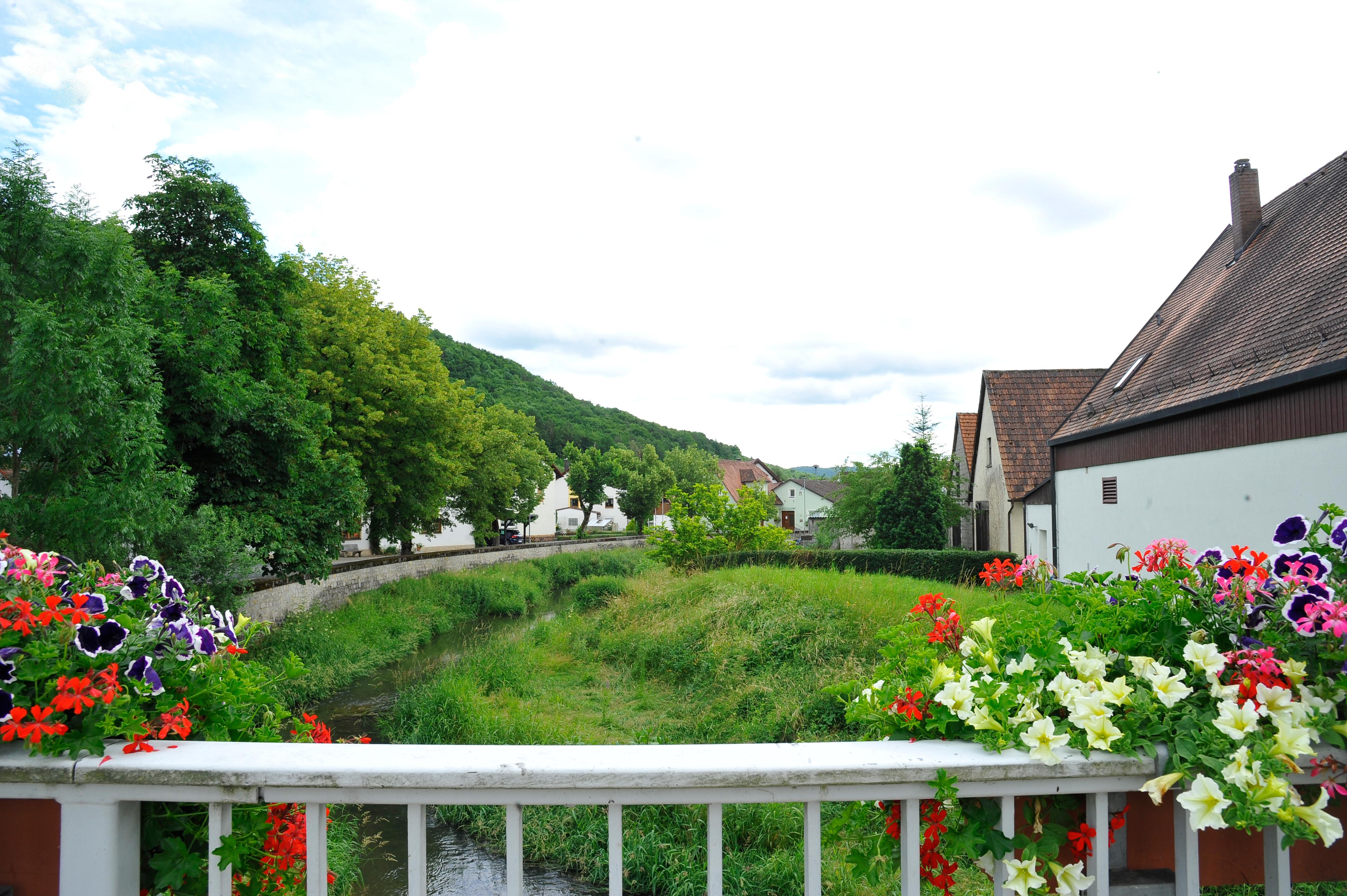 Auch hier: Farbenfrohe Blumen.